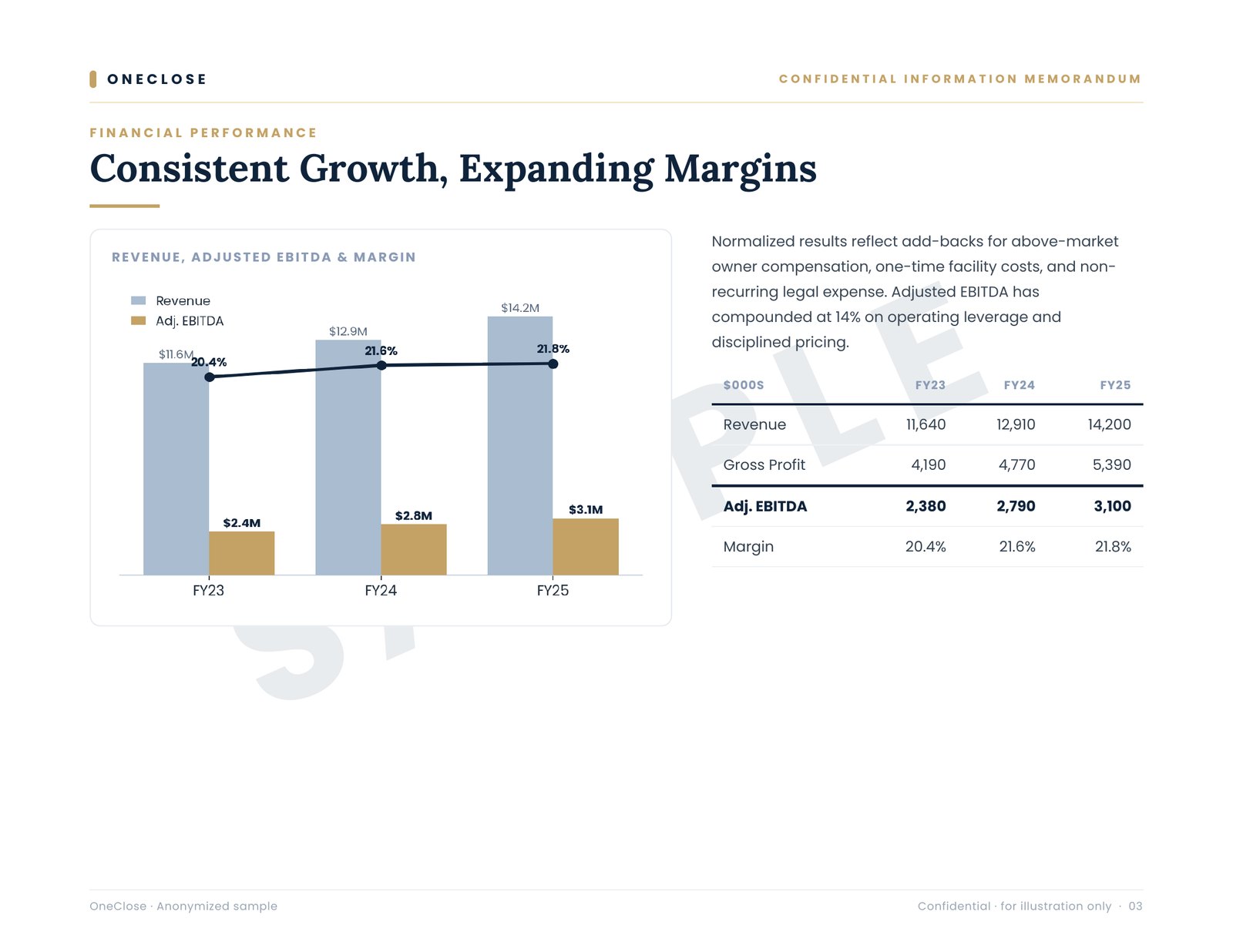 CIM sample: financial performance